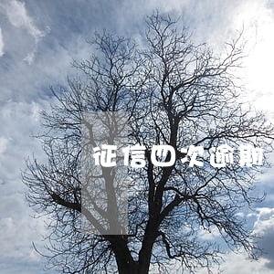 征信四次逾期 买房贷款 征信四次逾期 买房贷款